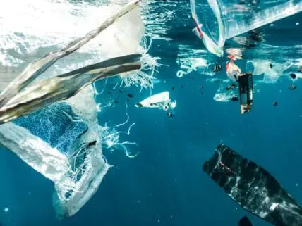 Image of an underwater ocean scene filled with various bits of plastic debris, with small fish circling the trash.