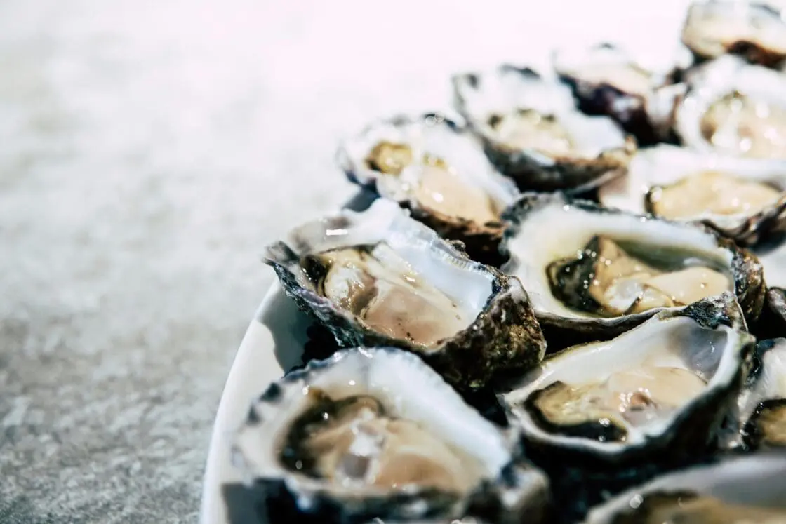 An image of a large plate on a metal countertop with raw oysters arranged in a circle, filling the plate.