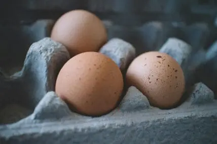 Close-up image of three brown eggs shown in an egg carton.