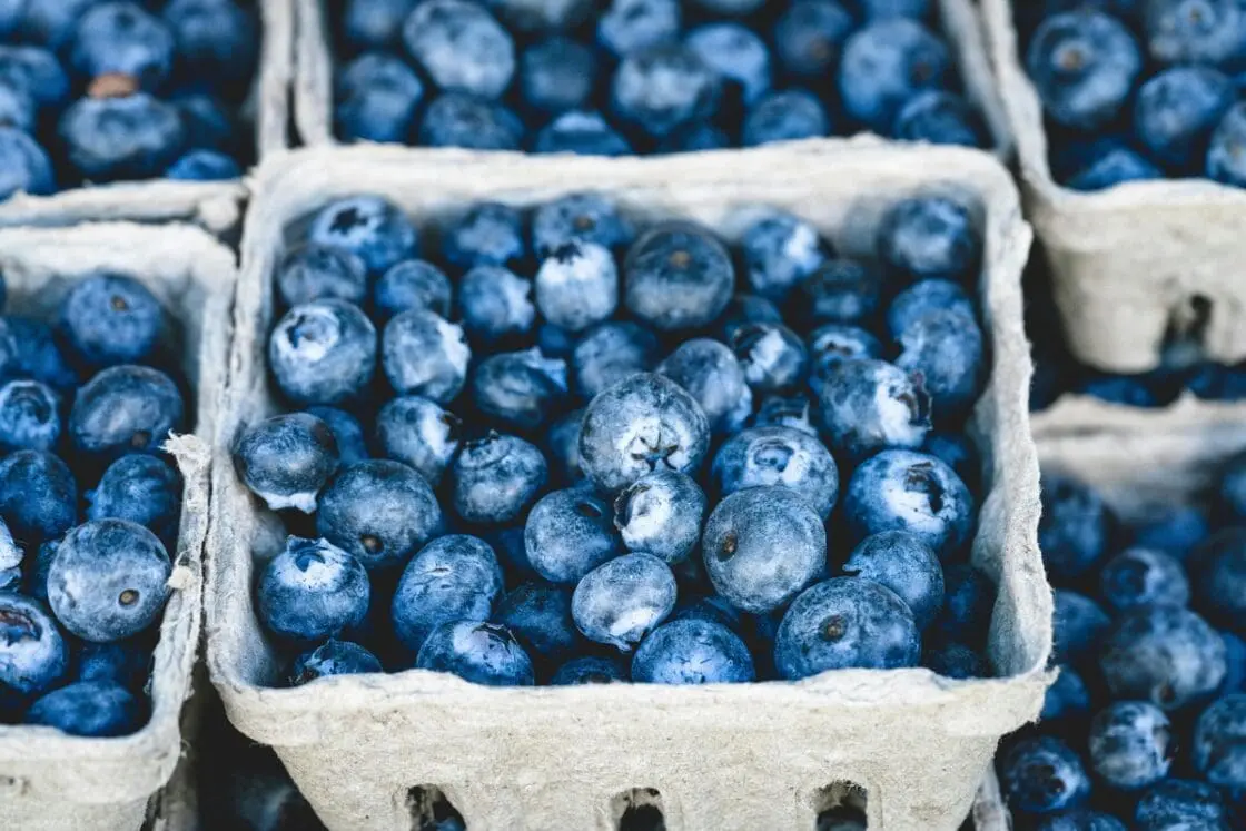 Close-up image of several boxes of fresh blueberries.