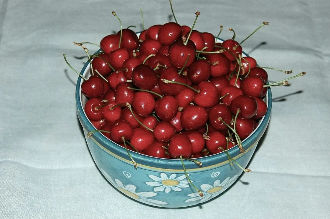 Image of a large blue bowl with a pattern of daisies, filled with tart sour cherries.