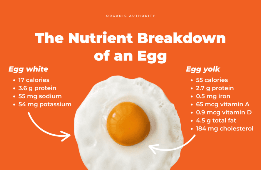Image of a photo of a fried egg with eggs' nutrition facts about both the white and yolk.