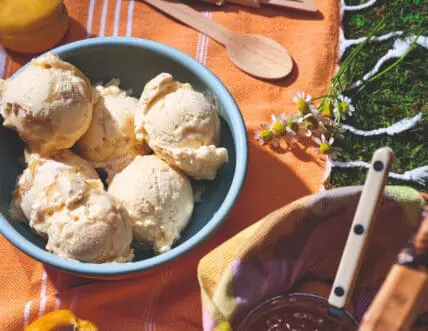 Image of a big bowl full of Salt & Straw french vanilla ice cream set on a summer picnic table.