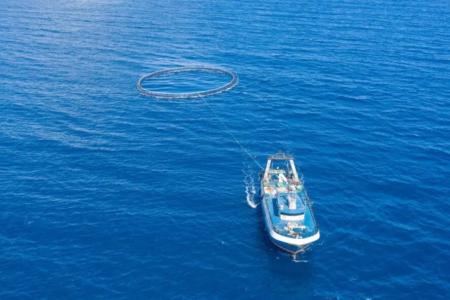 Image of a salmon farm in an open-net system in the ocean.