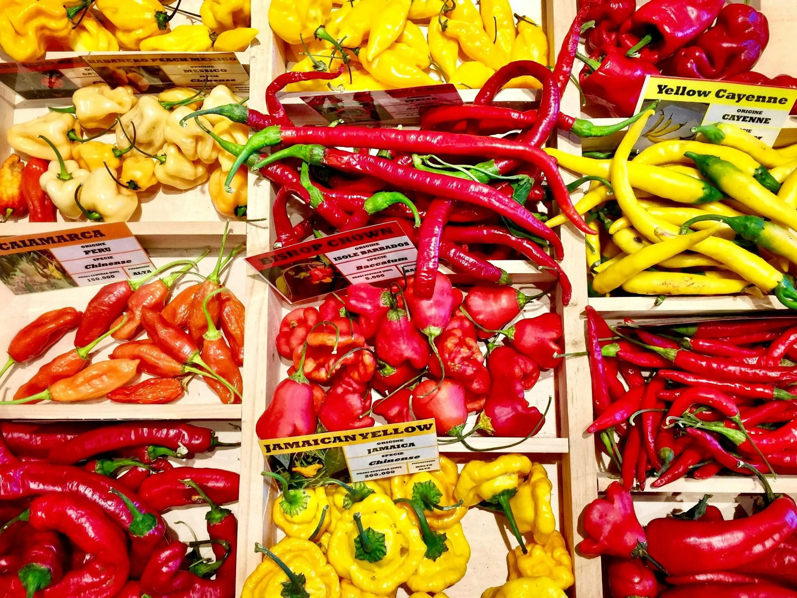 Spicy Food Heartburn Triggers Unsplash