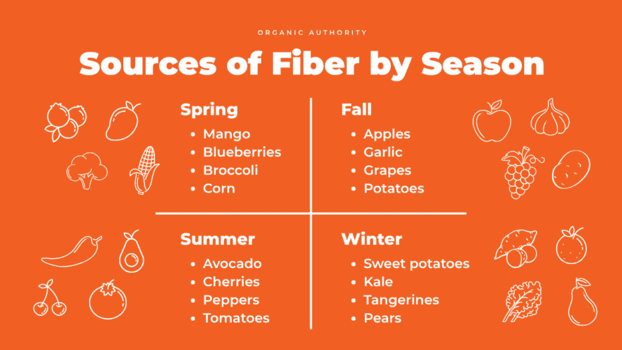 Image of a table featuring several different sources of fiber that are available by season.