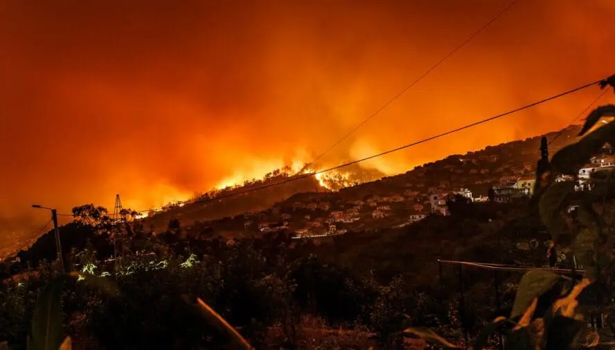 Image of a wildfire spreading in a forest in the distance.