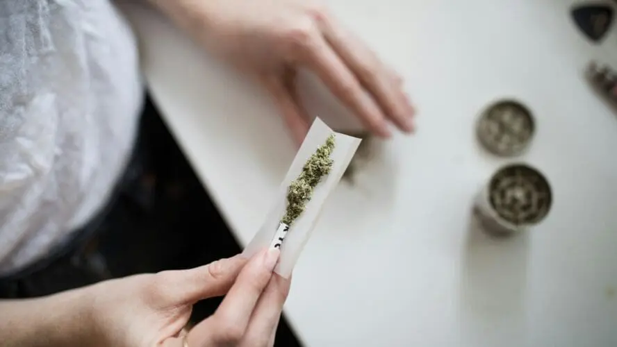Image of a pair of hands rolling a cannabis joint over a counter.