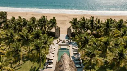 Drone image of ZihFit in Zihuatanejo, Mexico from above showcasing a forest of palm trees and a pool with the beach in the distance.