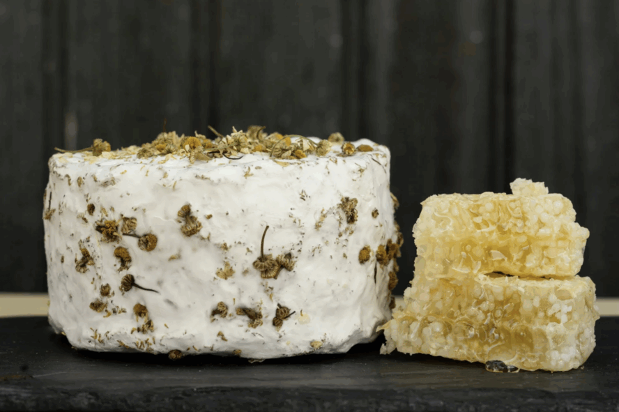 Image of a wedge of soft, brie-like cheese rolled in chamomile flowers next to a honeycomb.