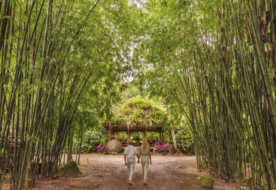 Image of a couple approaching the lobby of Origins Floral Luxury Lodge.