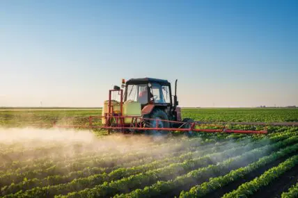 Image of a large tractor spraying pesticides on a field full of crops ready to harvest.