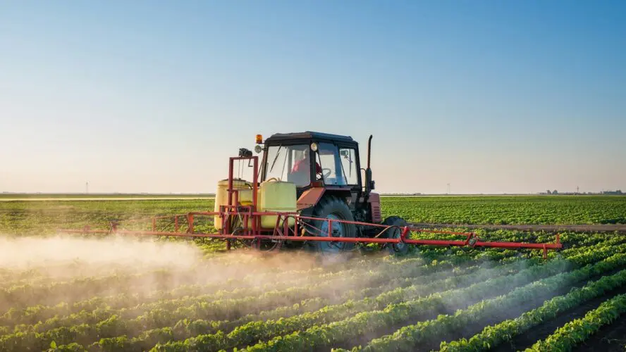 Image of a large tractor spraying pesticides on a field full of crops ready to harvest.