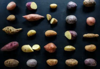 Image of several different types of potatoes in whole and cut form, shown on a black background.