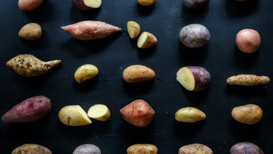 Image of several different types of potatoes in whole and cut form, shown on a black background.