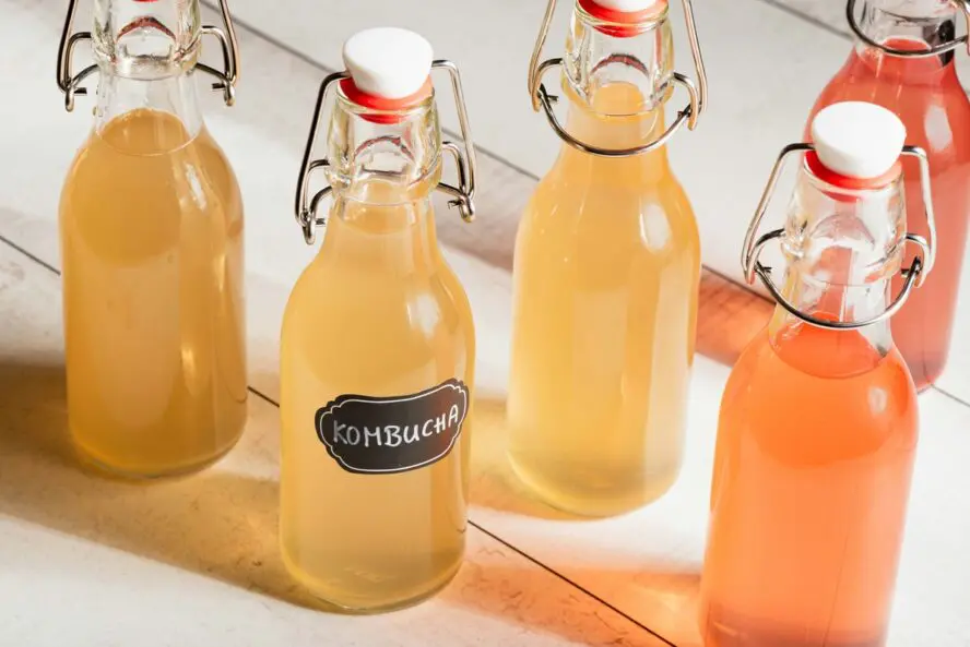 Image of several glass bottles full of home-brewed kombucha.
