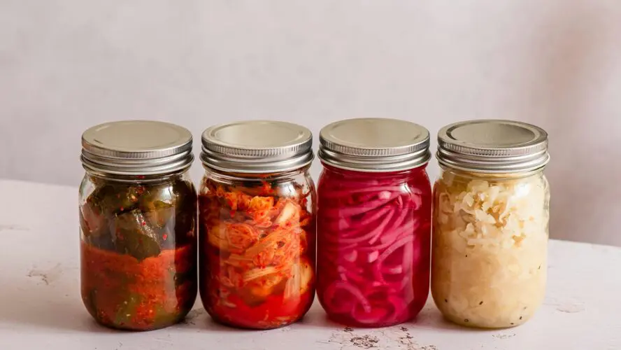 Image of four mason jars lined up in a row and filled with colorful fermented foods like kimchi and sauerkraut.