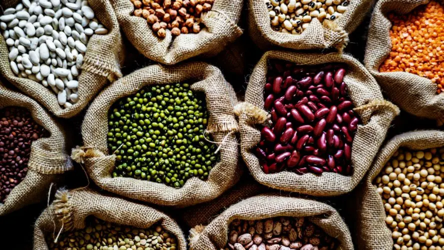 Image of several burlap sacks full of colorful varieties of beans.