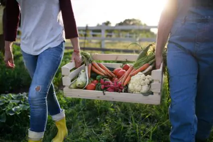 Image of two farmers holding a large crate in between them, filled with fresh produce including carrots, tomatoes, and cauliflower.