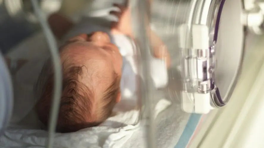 Image of a newborn baby in a NICU unit bassinet.