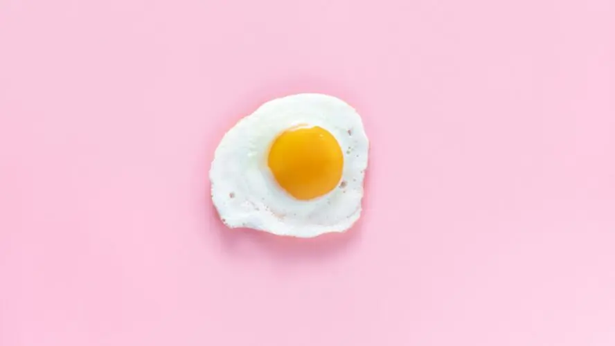 Image of a fried, single sunny side up egg shown on a solid pink background.