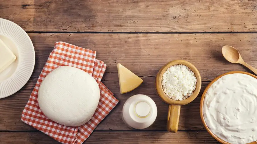 Image of several dairy-based protein options lined up in a row, including cottage cheese and Greek yogurt.