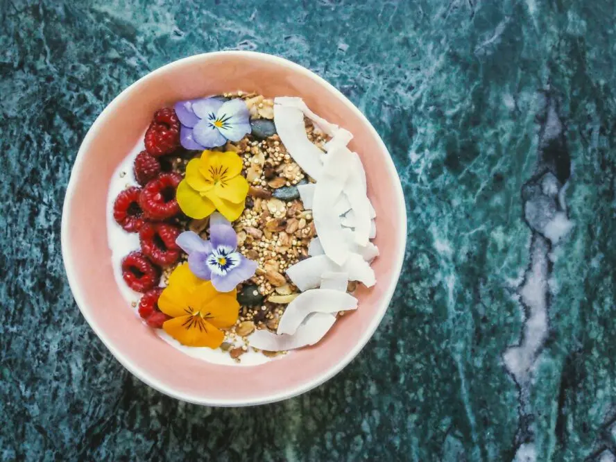 Image of a pink bowl full of Greek yogurt topped with granola and berries.