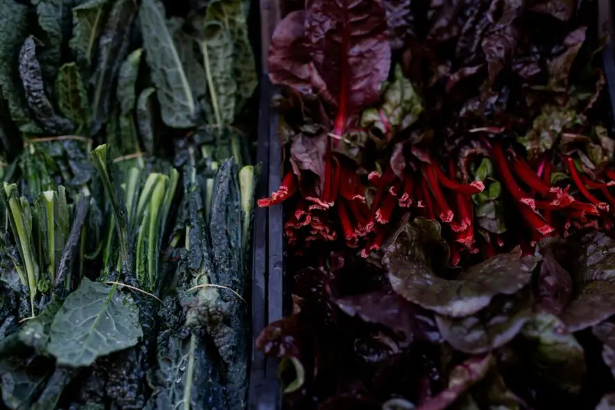 Close-up image of a pile of dark, leafy greens packed with anti-inflammatory benefits.