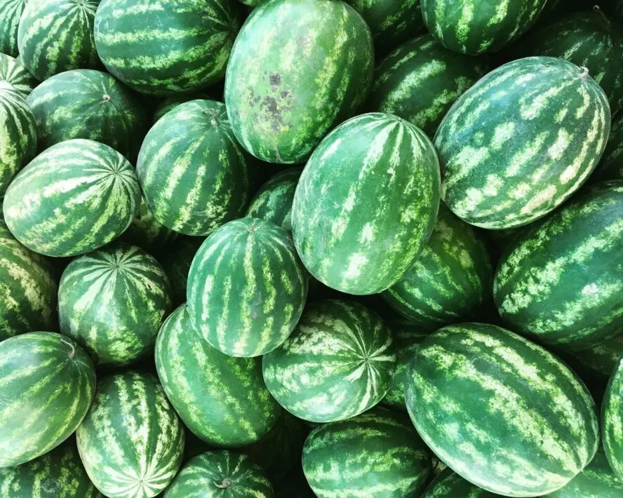 Image of a large amount of ripe watermelons stacked in a pile.