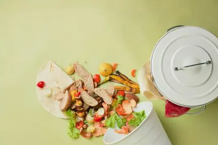 Image of a small trash bin with the contents spilling out onto a green background, including slices of bread, a banana peel, and pieces of various vegetables.