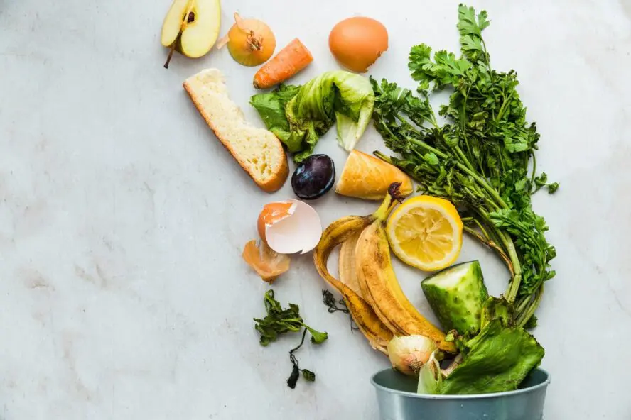 Image of several scraps of food, including some shriveled herbs, lemon slices, bits of onion and carrot, and more.