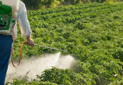 Image of a pesticide applicator spraying potentially cancer-causing pesticides on a field.