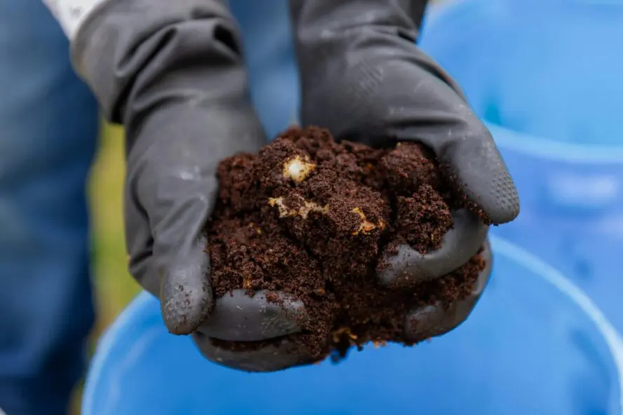 Image of two gloved hands, with the palms full of fertilized soil.