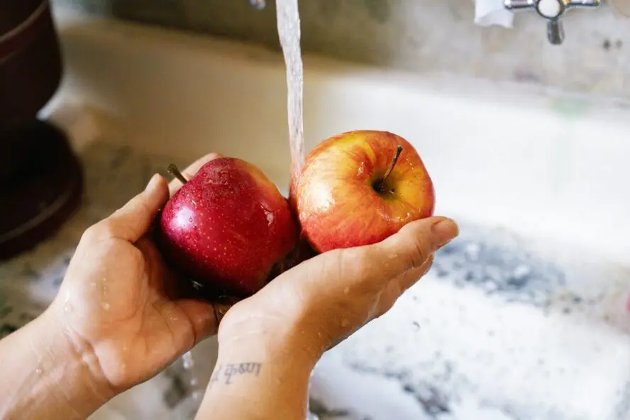 Image of a pair of hands holding two apples under running water in a sink and washing them.