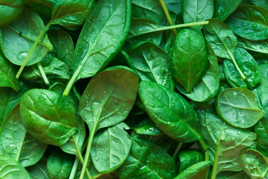 Close-up image of a pile of spinach.