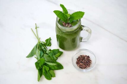 Image of vegan chocolate milkshake in glass jar with mint and cacao nibs which are full of antioxidants, and mint that has tons of nutrients including vitamin C! Making this a healthy chocolate milkshake recipe. Depending on which brand of vanilla ice cream or chocolate ice cream, it can lean even healthier, but either way you're getting in some good nutrients with this easy chocolate milkshake recipe that's the perfect sweet treat.