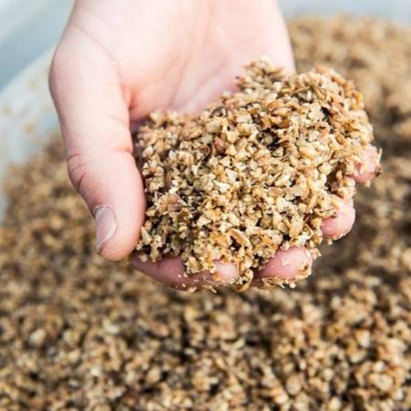 Edible food waste comes in grain form.