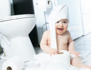 Not That Gross: The Myth-Busting Low-Down on Composting Toilets