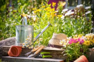 Not in the 1 Percent? Your Guide to Gardening on a Budget