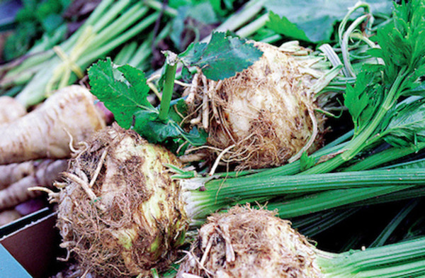celery root benefits