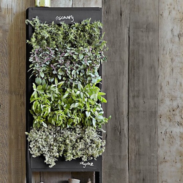 vertical garden