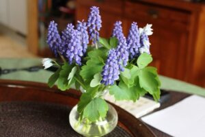 Spring craft ideas to decorate your home.