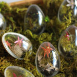 Cool Easter eggs.