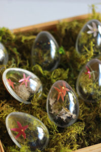 Cool Easter eggs.