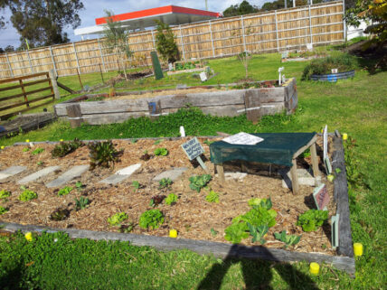 An edible garden