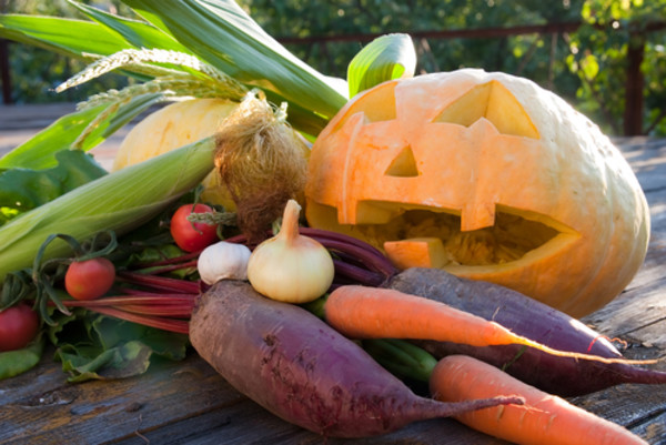 Fall vegetables you may not have heard of but should try today!