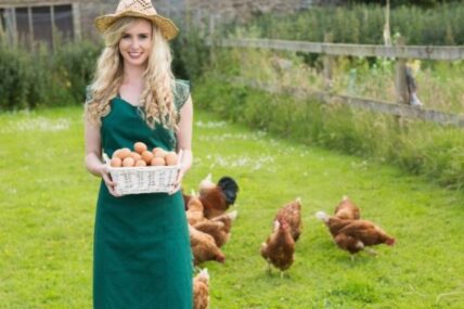 The Truth About Goose Eggs Versus Chicken Eggs: Is One Better Than the Other?