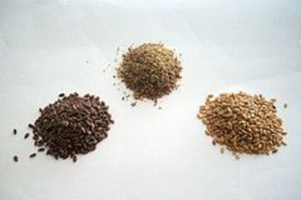 flax seed health benefits