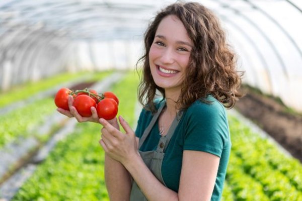 Everything You Need to Know About Growing Tomatoes