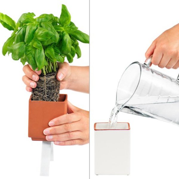 herb pot
